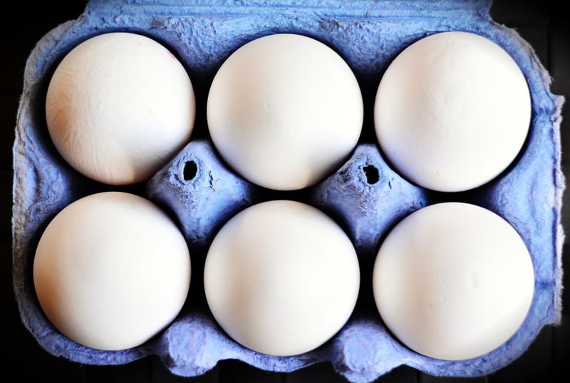 Egg Carton Bouquet